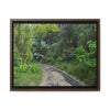 Rainforest Trails & Views - Gallery Canvas Wraps, Horizontal Frame - El Yunque National Forest - Puerto Rico - Closed PR191 forested road - Green Forest Home