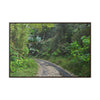 Rainforest Trails & Views - Gallery Canvas Wraps, Horizontal Frame - El Yunque National Forest - Puerto Rico - Closed PR191 forested road - Green Forest Home