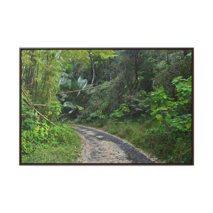 Rainforest Trails & Views - Gallery Canvas Wraps, Horizontal Frame - El Yunque National Forest - Puerto Rico - Closed PR191 forested road - Green Forest Home
