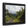 Rainforest Trails & Views - Gallery Canvas Wraps, Horizontal Frame - El Yunque National Forest - Puerto Rico - Closed PR191 forested road - Green Forest Home
