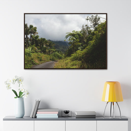 Rainforest Trails & Views - Gallery Canvas Wraps, Horizontal Frame - El Yunque National Forest - Puerto Rico - Closed PR191 forested road - Green Forest Home