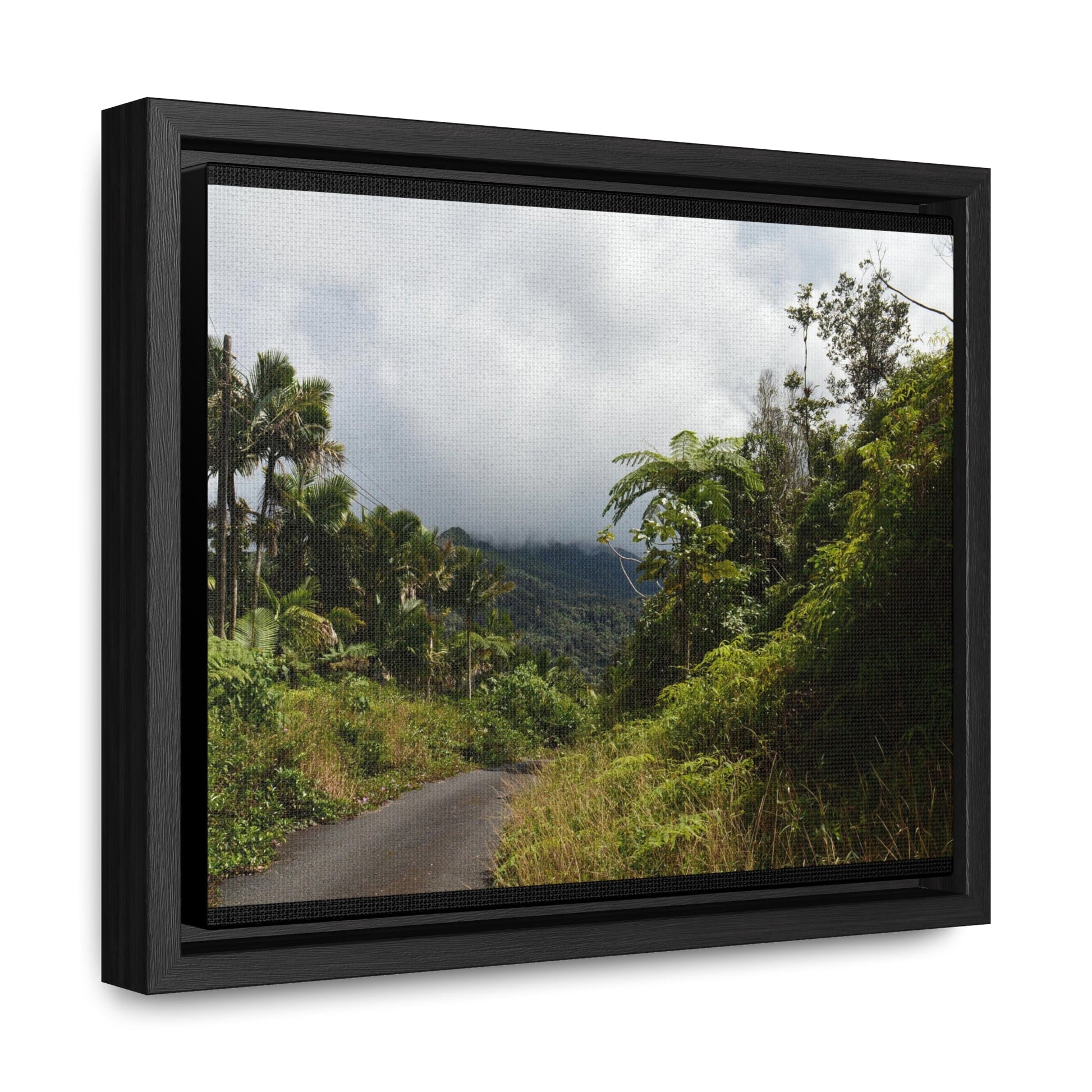 Rainforest Trails & Views - Gallery Canvas Wraps, Horizontal Frame - El Yunque National Forest - Puerto Rico - Closed PR191 forested road - Green Forest Home