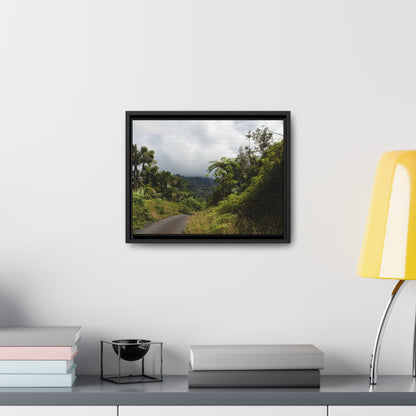 Rainforest Trails & Views - Gallery Canvas Wraps, Horizontal Frame - El Yunque National Forest - Puerto Rico - Closed PR191 forested road - Green Forest Home