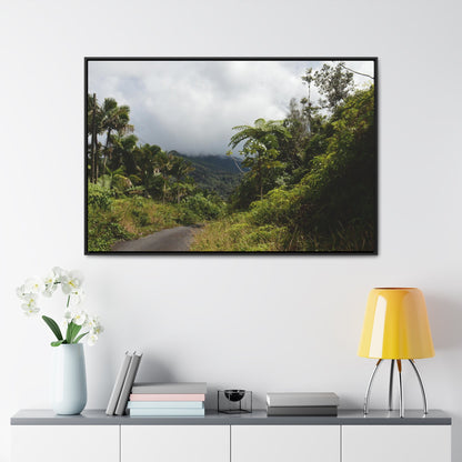 Rainforest Trails & Views - Gallery Canvas Wraps, Horizontal Frame - El Yunque National Forest - Puerto Rico - Closed PR191 forested road - Green Forest Home