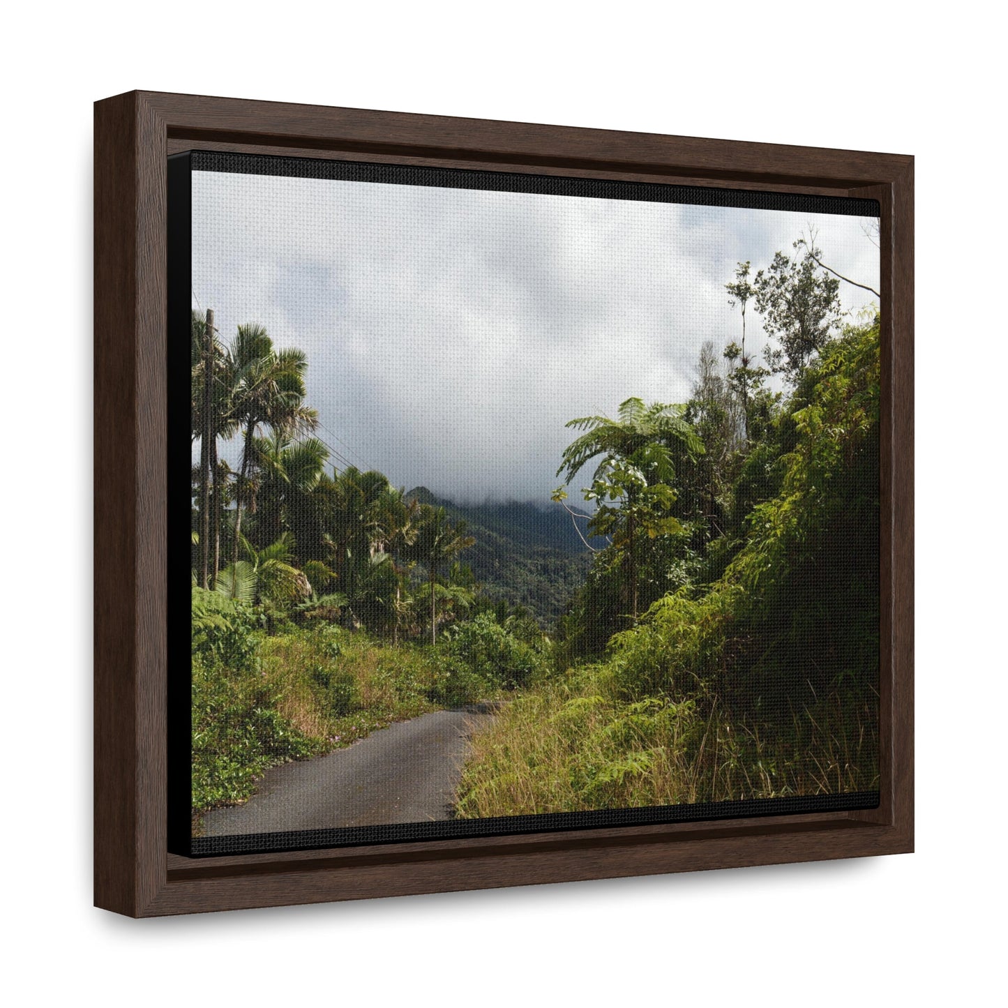 Rainforest Trails & Views - Gallery Canvas Wraps, Horizontal Frame - El Yunque National Forest - Puerto Rico - Closed PR191 forested road - Green Forest Home