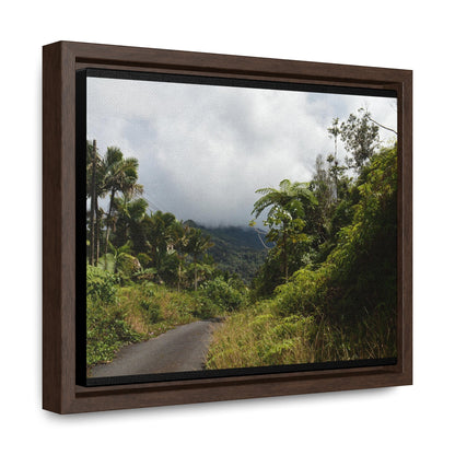 Rainforest Trails & Views - Gallery Canvas Wraps, Horizontal Frame - El Yunque National Forest - Puerto Rico - Closed PR191 forested road - Green Forest Home