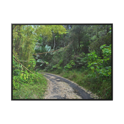 Rainforest Trails & Views - Gallery Canvas Wraps, Horizontal Frame - El Yunque National Forest - Puerto Rico - Closed PR191 forested road - Green Forest Home