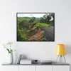 Rainforest Trails & Views - Gallery Canvas Wraps, Horizontal Frame - El Yunque National Forest - Puerto Rico - Closed PR191 road & landlside - Green Forest Home