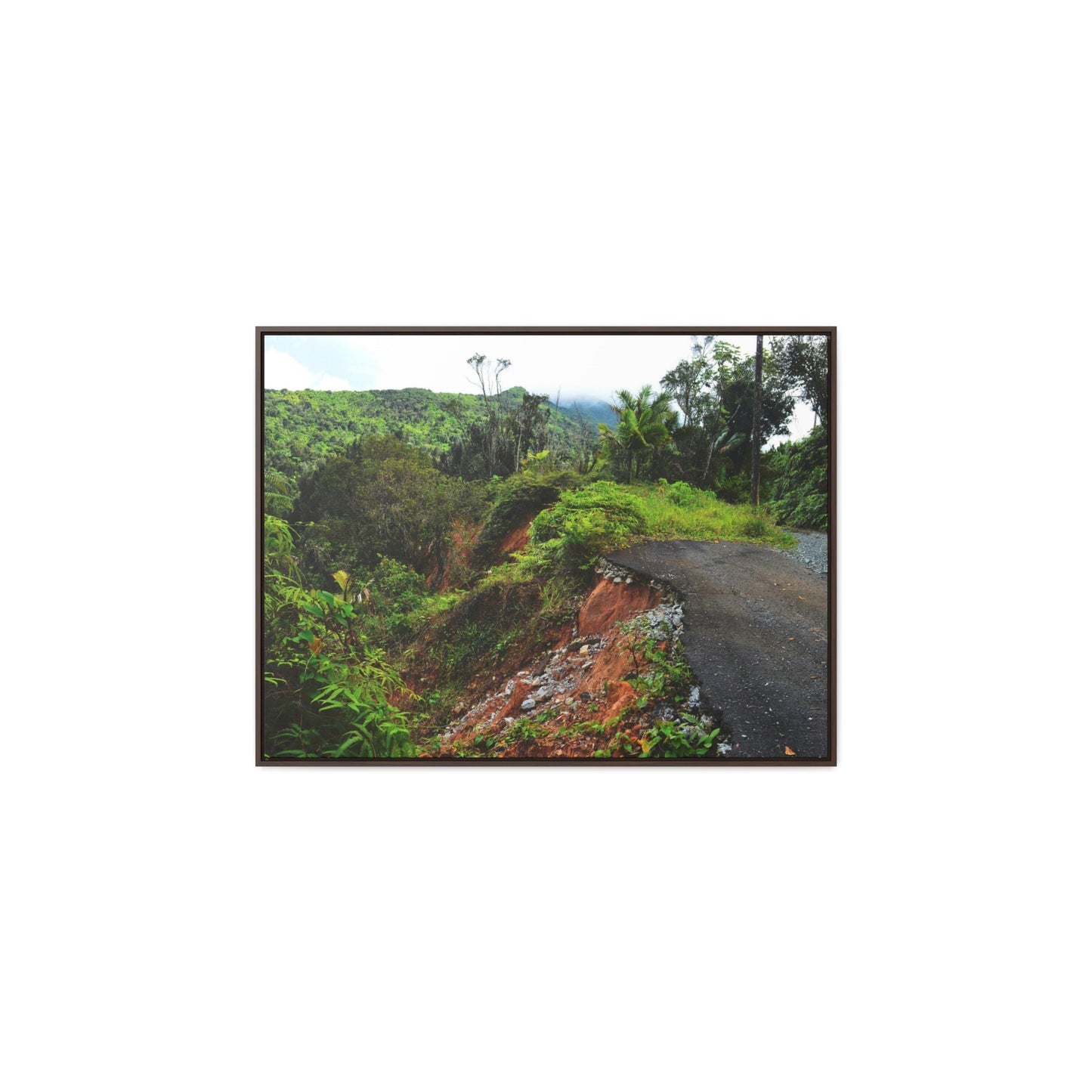 Rainforest Trails & Views - Gallery Canvas Wraps, Horizontal Frame - El Yunque National Forest - Puerto Rico - Closed PR191 road & landlside - Green Forest Home