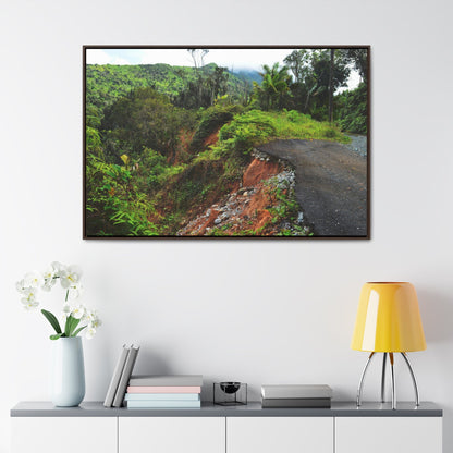 Rainforest Trails & Views - Gallery Canvas Wraps, Horizontal Frame - El Yunque National Forest - Puerto Rico - Closed PR191 road & landlside - Green Forest Home