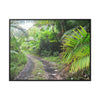 Rainforest Trails & Views - Gallery Canvas Wraps, Horizontal Frame - El Yunque National Forest - Puerto Rico - Closed PR191 road & landlside - Green Forest Home