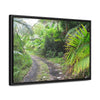 Rainforest Trails & Views - Gallery Canvas Wraps, Horizontal Frame - El Yunque National Forest - Puerto Rico - Closed PR191 road & landlside - Green Forest Home