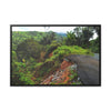 Rainforest Trails & Views - Gallery Canvas Wraps, Horizontal Frame - El Yunque National Forest - Puerto Rico - Closed PR191 road & landlside - Green Forest Home