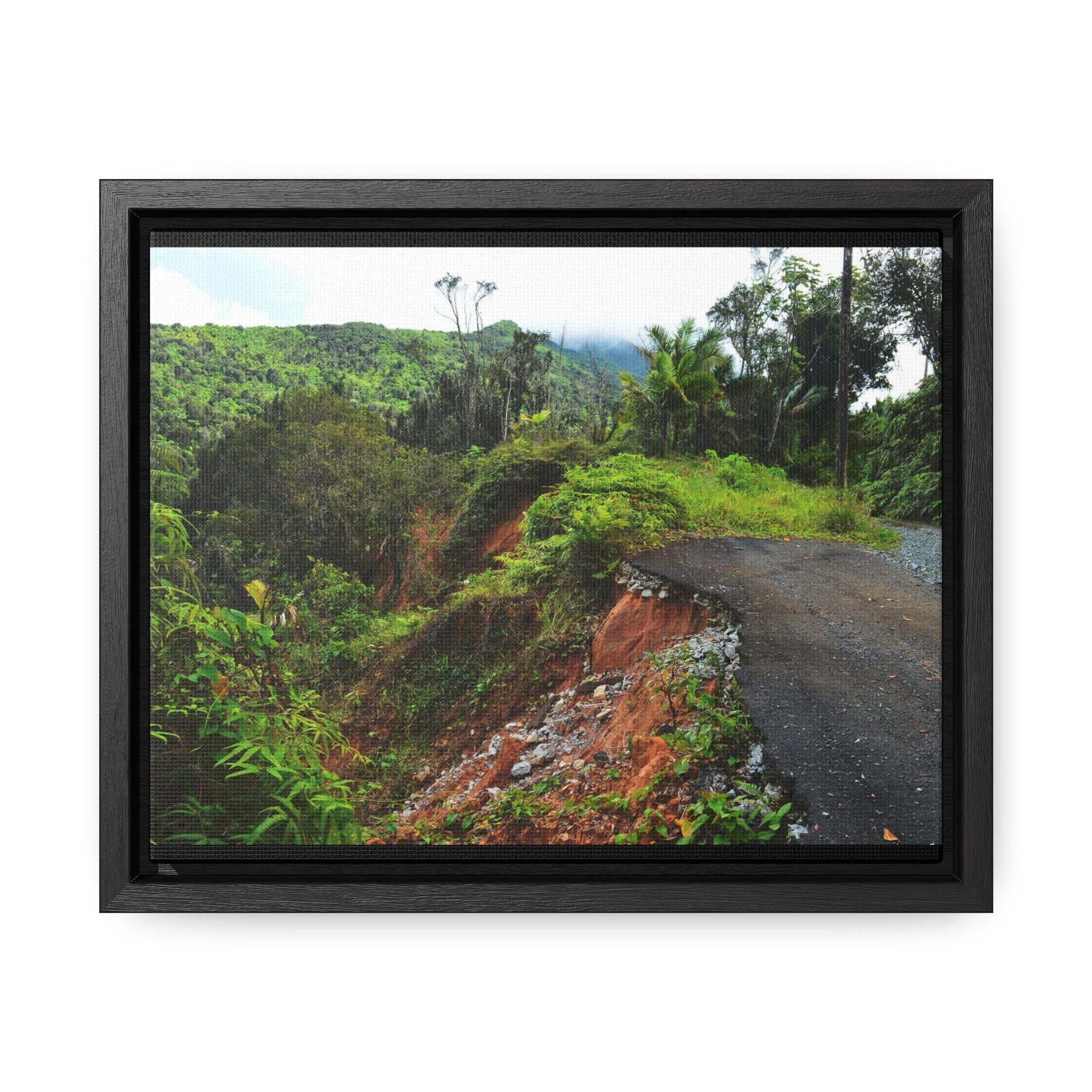 Rainforest Trails & Views - Gallery Canvas Wraps, Horizontal Frame - El Yunque National Forest - Puerto Rico - Closed PR191 road & landlside - Green Forest Home