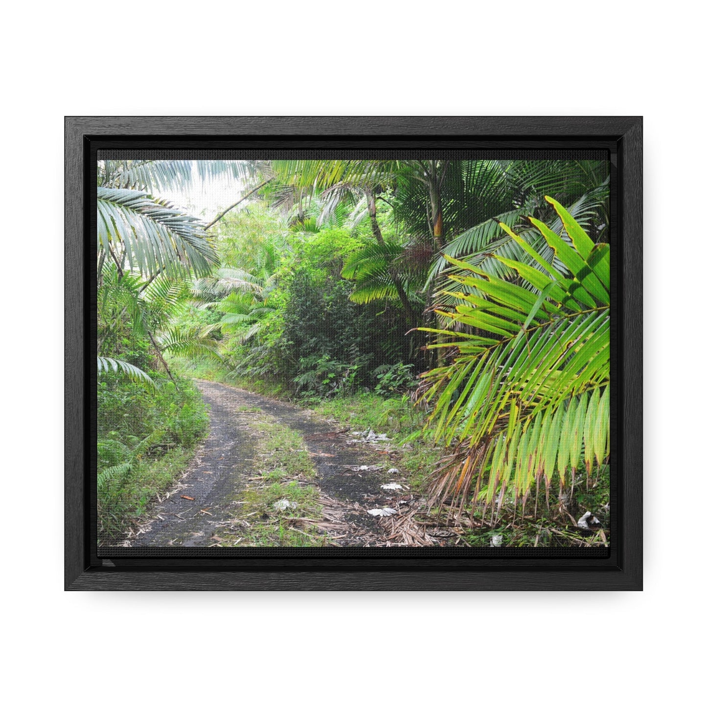 Rainforest Trails & Views - Gallery Canvas Wraps, Horizontal Frame - El Yunque National Forest - Puerto Rico - Closed PR191 road & landlside - Green Forest Home