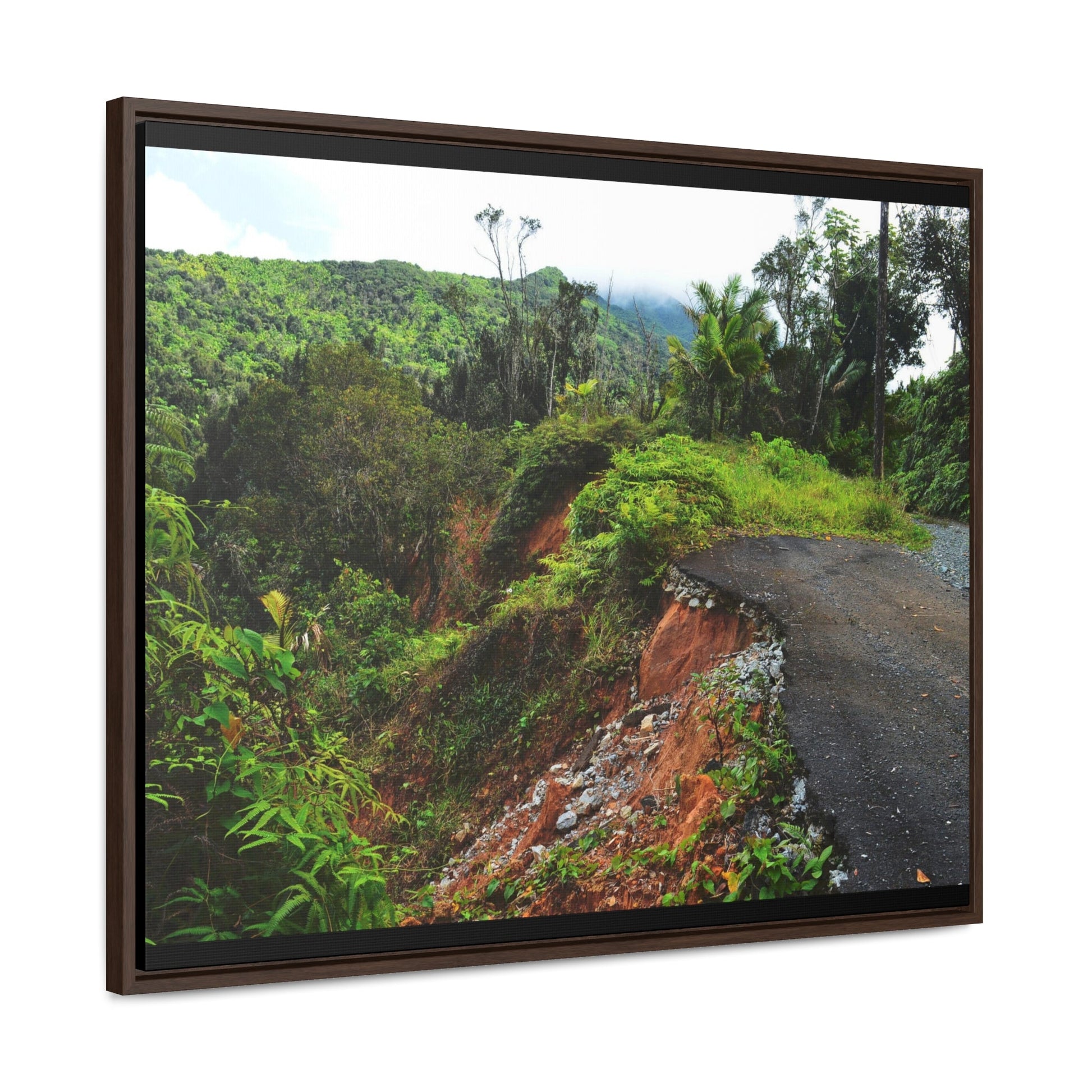 Rainforest Trails & Views - Gallery Canvas Wraps, Horizontal Frame - El Yunque National Forest - Puerto Rico - Closed PR191 road & landlside - Green Forest Home
