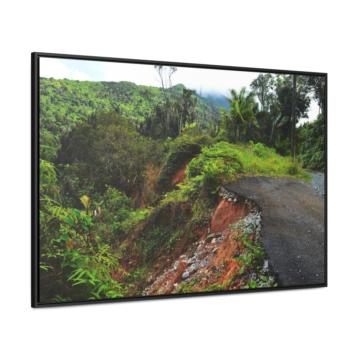 Rainforest Trails & Views - Gallery Canvas Wraps, Horizontal Frame - El Yunque National Forest - Puerto Rico - Closed PR191 road & landlside - Green Forest Home