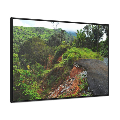 Rainforest Trails & Views - Gallery Canvas Wraps, Horizontal Frame - El Yunque National Forest - Puerto Rico - Closed PR191 road & landlside - Green Forest Home