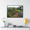 Rainforest Trails & Views - Gallery Canvas Wraps, Horizontal Frame - El Yunque National Forest - Puerto Rico - Closed PR191 road & landlside - Green Forest Home