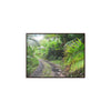Rainforest Trails & Views - Gallery Canvas Wraps, Horizontal Frame - El Yunque National Forest - Puerto Rico - Closed PR191 road & landlside - Green Forest Home