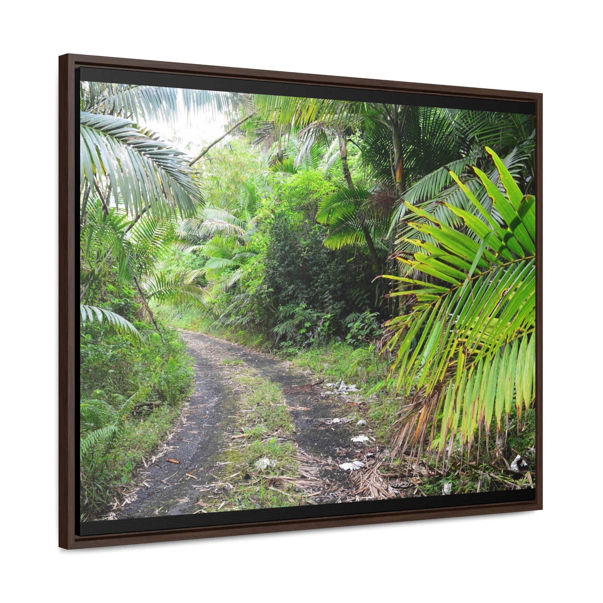 Rainforest Trails & Views - Gallery Canvas Wraps, Horizontal Frame - El Yunque National Forest - Puerto Rico - Closed PR191 road & landlside - Green Forest Home