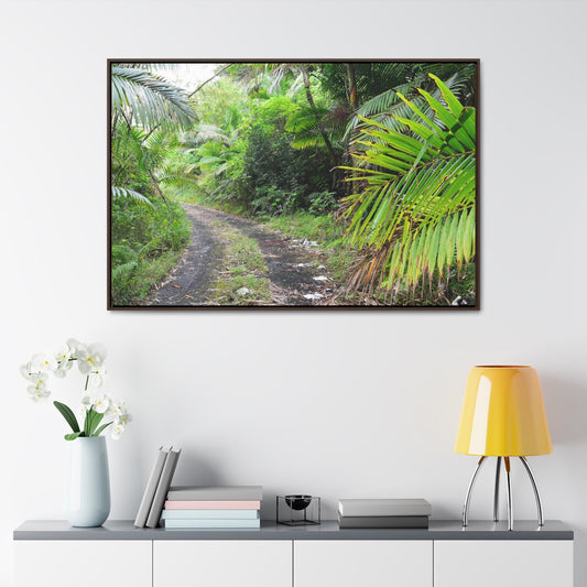 Rainforest Trails & Views - Gallery Canvas Wraps, Horizontal Frame - El Yunque National Forest - Puerto Rico - Closed PR191 road & landlside - Green Forest Home