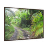 Rainforest Trails & Views - Gallery Canvas Wraps, Horizontal Frame - El Yunque National Forest - Puerto Rico - Closed PR191 road & landlside - Green Forest Home