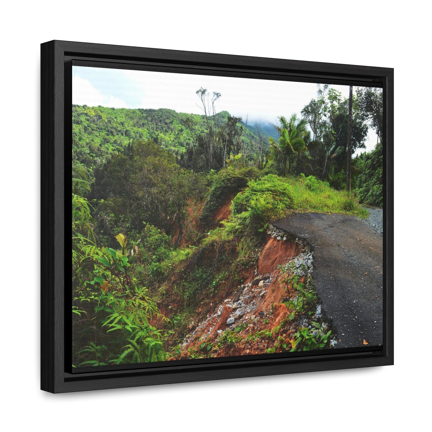 Rainforest Trails & Views - Gallery Canvas Wraps, Horizontal Frame - El Yunque National Forest - Puerto Rico - Closed PR191 road & landlside - Green Forest Home
