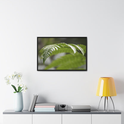 Rainforest Trails & Views - Gallery Canvas Wraps, Horizontal Frame - El Yunque National Forest - Puerto Rico - Closeup of the ancient Fern plant - Green Forest Home