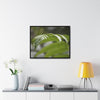Rainforest Trails & Views - Gallery Canvas Wraps, Horizontal Frame - El Yunque National Forest - Puerto Rico - Closeup of the ancient Fern plant - Green Forest Home