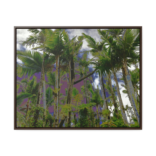 Rainforest Trails & Views - Gallery Canvas Wraps, Horizontal Frame - El Yunque National Forest - Puerto Rico - Color ehanced images of the Sierra Palm forest - Green Forest Home