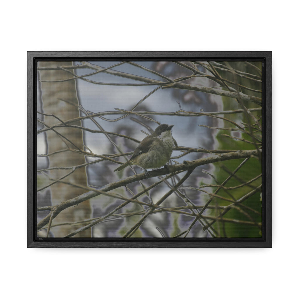 Rainforest Trails & Views - Gallery Canvas Wraps, Horizontal Frame - El Yunque National Forest - Puerto Rico - Color enhanced bird in Rio Sabana trail - Green Forest Home