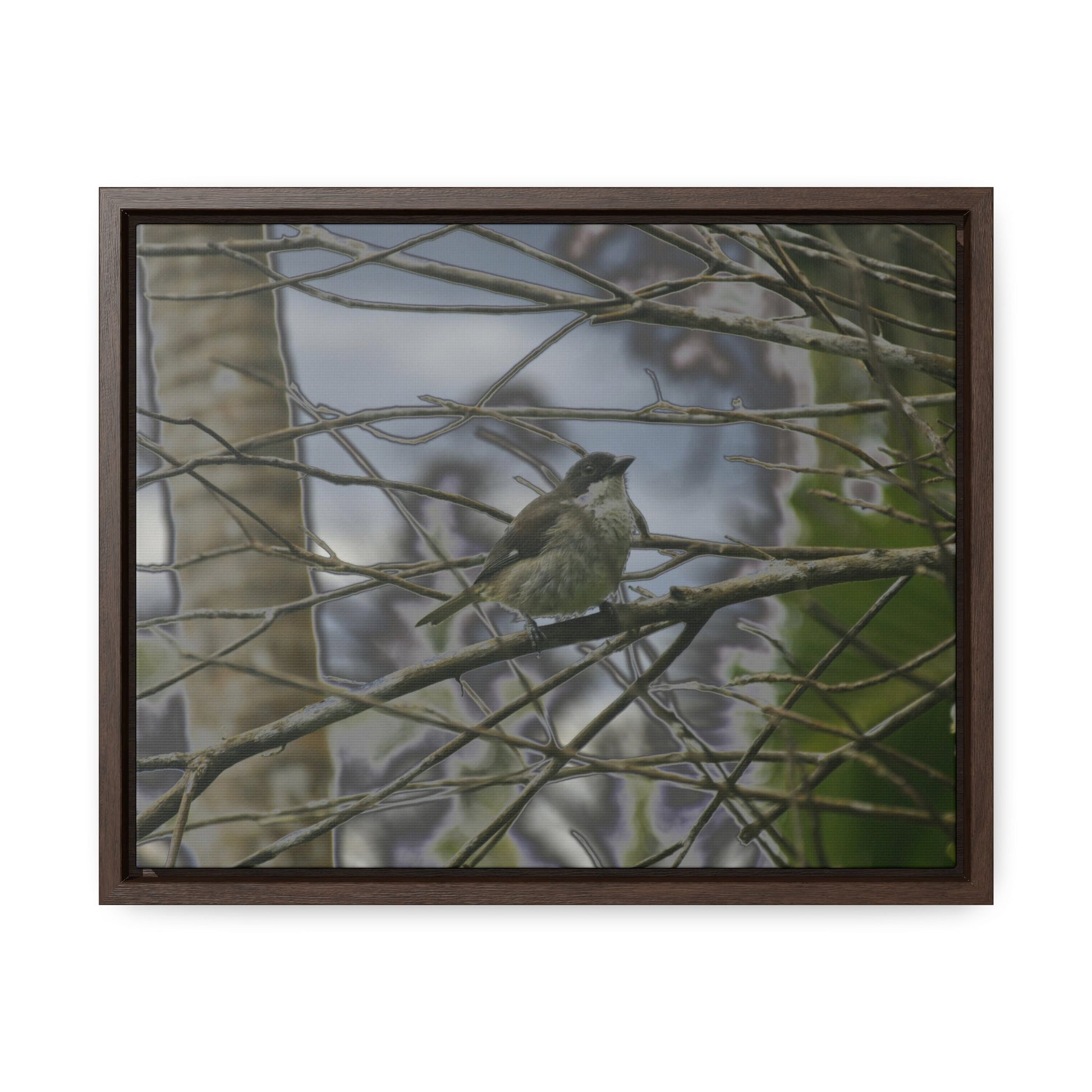 Rainforest Trails & Views - Gallery Canvas Wraps, Horizontal Frame - El Yunque National Forest - Puerto Rico - Color enhanced bird in Rio Sabana trail - Green Forest Home