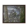 Rainforest Trails & Views - Gallery Canvas Wraps, Horizontal Frame - El Yunque National Forest - Puerto Rico - Color enhanced bird in Rio Sabana trail - Green Forest Home