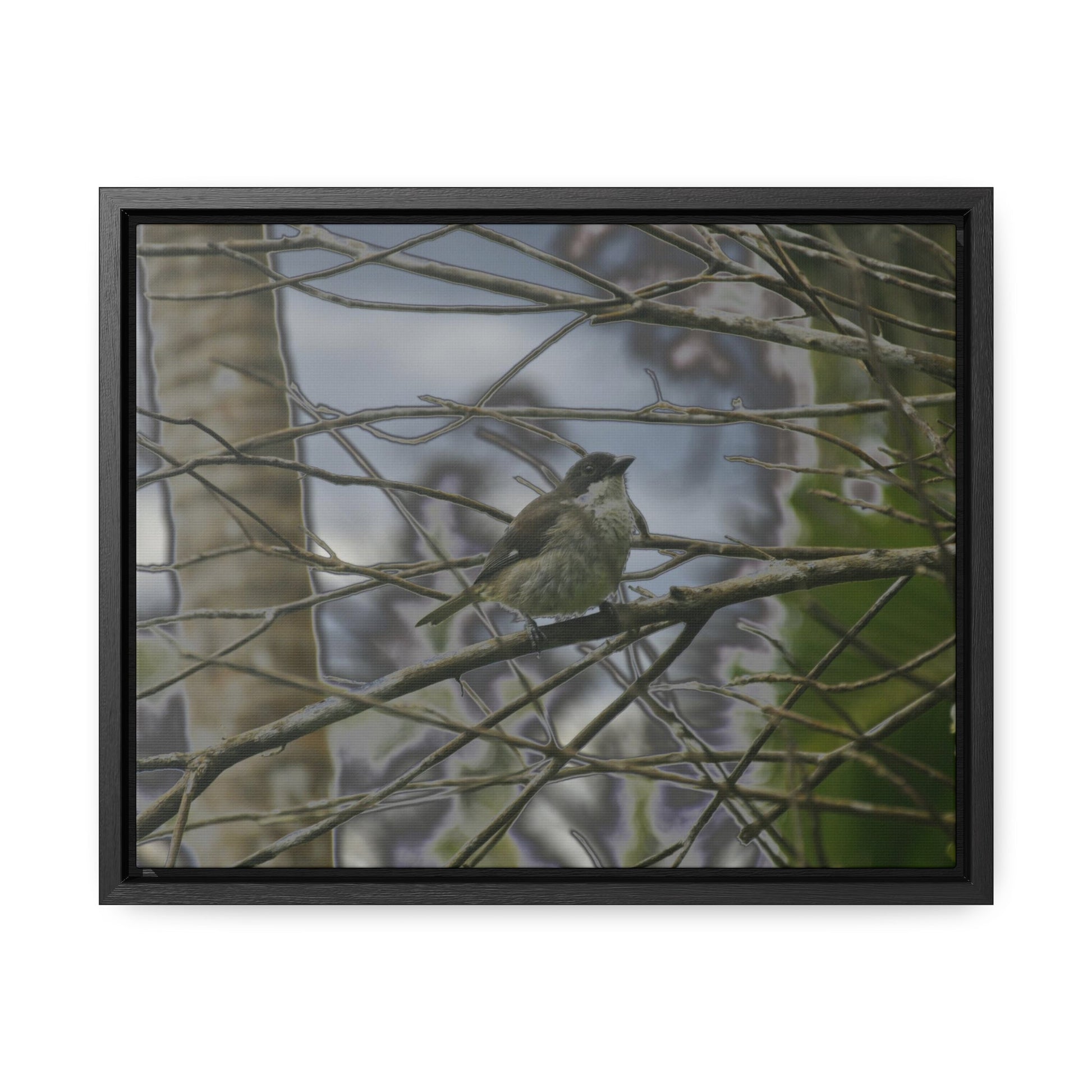 Rainforest Trails & Views - Gallery Canvas Wraps, Horizontal Frame - El Yunque National Forest - Puerto Rico - Color enhanced bird in Rio Sabana trail - Green Forest Home