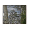 Rainforest Trails & Views - Gallery Canvas Wraps, Horizontal Frame - El Yunque National Forest - Puerto Rico - Color enhanced bird in Rio Sabana trail - Green Forest Home