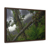 Rainforest Trails & Views - Gallery Canvas Wraps, Horizontal Frame - El Yunque National Forest - Puerto Rico - Color enhanced dramatic tangle of trees after Hurricane Maria - Green Forest Home