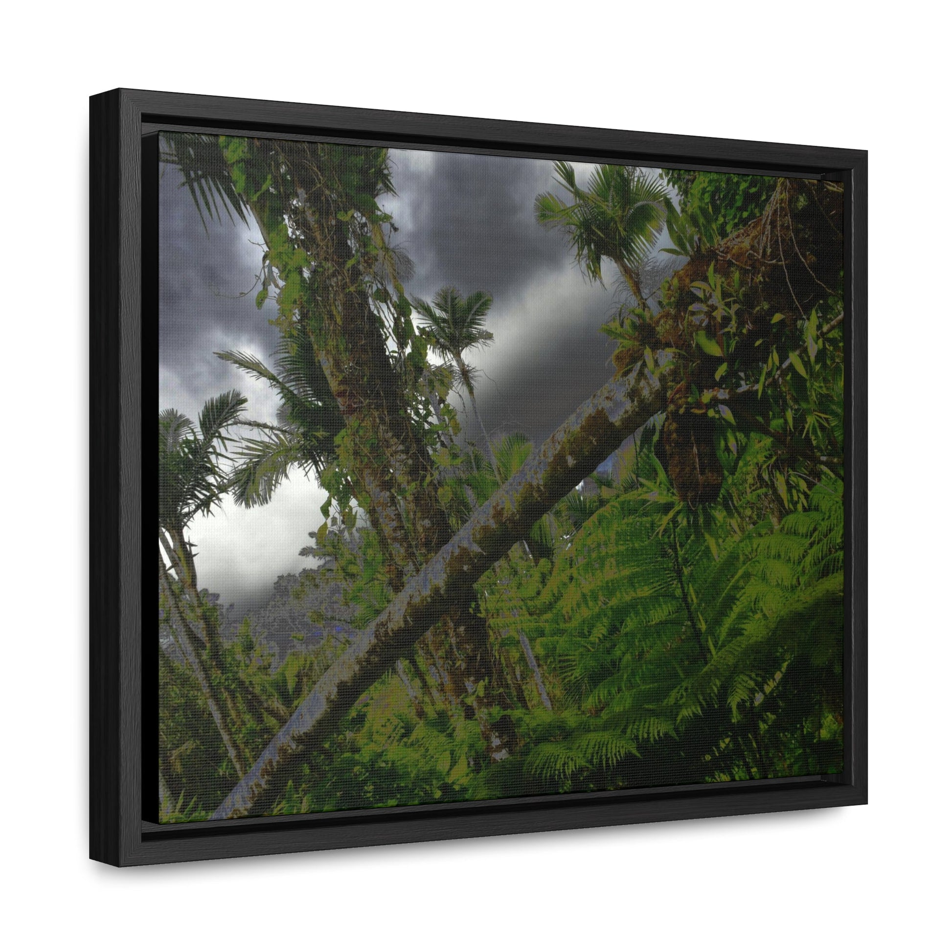 Rainforest Trails & Views - Gallery Canvas Wraps, Horizontal Frame - El Yunque National Forest - Puerto Rico - Color enhanced dramatic tangle of trees after Hurricane Maria - Green Forest Home