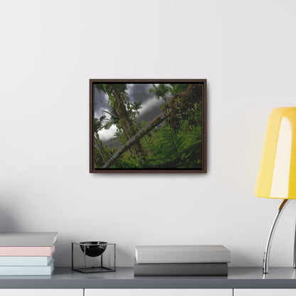 Rainforest Trails & Views - Gallery Canvas Wraps, Horizontal Frame - El Yunque National Forest - Puerto Rico - Color enhanced dramatic tangle of trees after Hurricane Maria - Green Forest Home