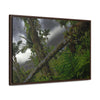 Rainforest Trails & Views - Gallery Canvas Wraps, Horizontal Frame - El Yunque National Forest - Puerto Rico - Color enhanced dramatic tangle of trees after Hurricane Maria - Green Forest Home