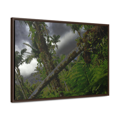 Rainforest Trails & Views - Gallery Canvas Wraps, Horizontal Frame - El Yunque National Forest - Puerto Rico - Color enhanced dramatic tangle of trees after Hurricane Maria - Green Forest Home