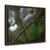 Rainforest Trails & Views - Gallery Canvas Wraps, Horizontal Frame - El Yunque National Forest - Puerto Rico - Color enhanced dramatic tangle of trees after Hurricane Maria - Green Forest Home