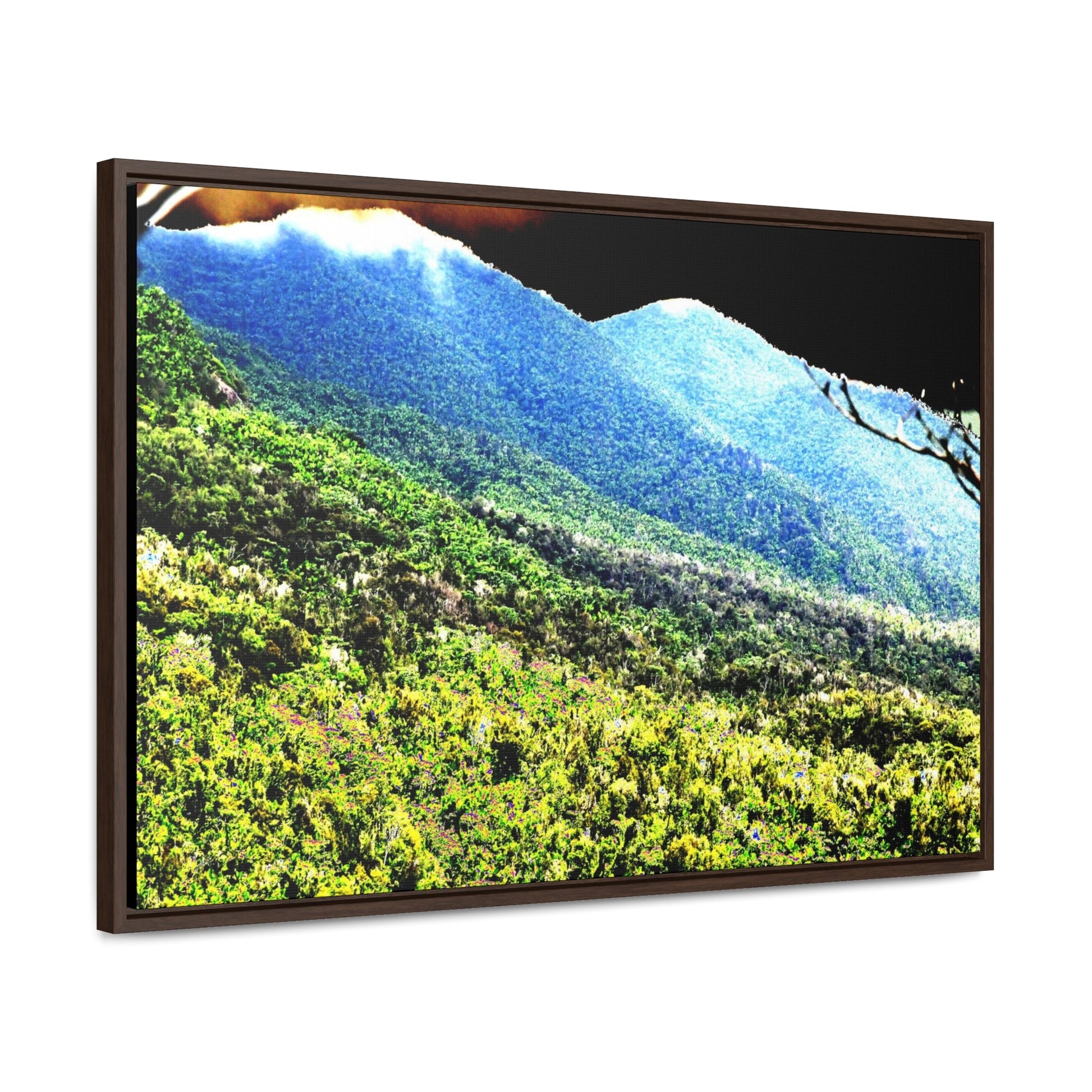 Rainforest Trails & Views - Gallery Canvas Wraps, Horizontal Frame - El Yunque National Forest - Puerto Rico - Color enhanced view of the foggy East Peak from PR 191 - Green Forest Home
