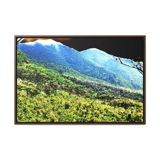 Rainforest Trails & Views - Gallery Canvas Wraps, Horizontal Frame - El Yunque National Forest - Puerto Rico - Color enhanced view of the foggy East Peak from PR 191 - Green Forest Home