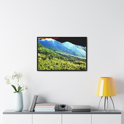 Rainforest Trails & Views - Gallery Canvas Wraps, Horizontal Frame - El Yunque National Forest - Puerto Rico - Color enhanced view of the foggy East Peak from PR 191 - Green Forest Home