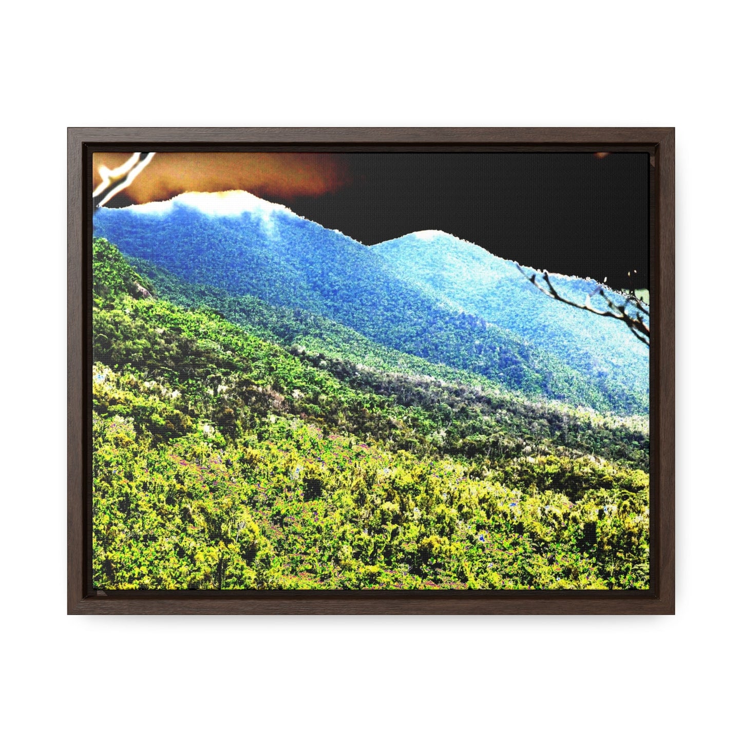 Rainforest Trails & Views - Gallery Canvas Wraps, Horizontal Frame - El Yunque National Forest - Puerto Rico - Color enhanced view of the foggy East Peak from PR 191 - Green Forest Home
