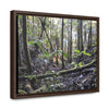 Rainforest Trails & Views - Gallery Canvas Wraps, Horizontal Frame - El Yunque National Forest - Puerto Rico - Early Holy Spirit River - Green Forest Home