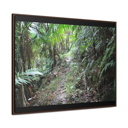 Rainforest Trails & Views - Gallery Canvas Wraps, Horizontal Frame - El Yunque National Forest - Puerto Rico - Early Tradewinds trail - Green Forest Home
