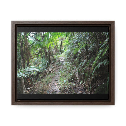 Rainforest Trails & Views - Gallery Canvas Wraps, Horizontal Frame - El Yunque National Forest - Puerto Rico - Early Tradewinds trail - Green Forest Home