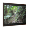 Rainforest Trails & Views - Gallery Canvas Wraps, Horizontal Frame - El Yunque National Forest - Puerto Rico - Early Tradewinds trail - Green Forest Home